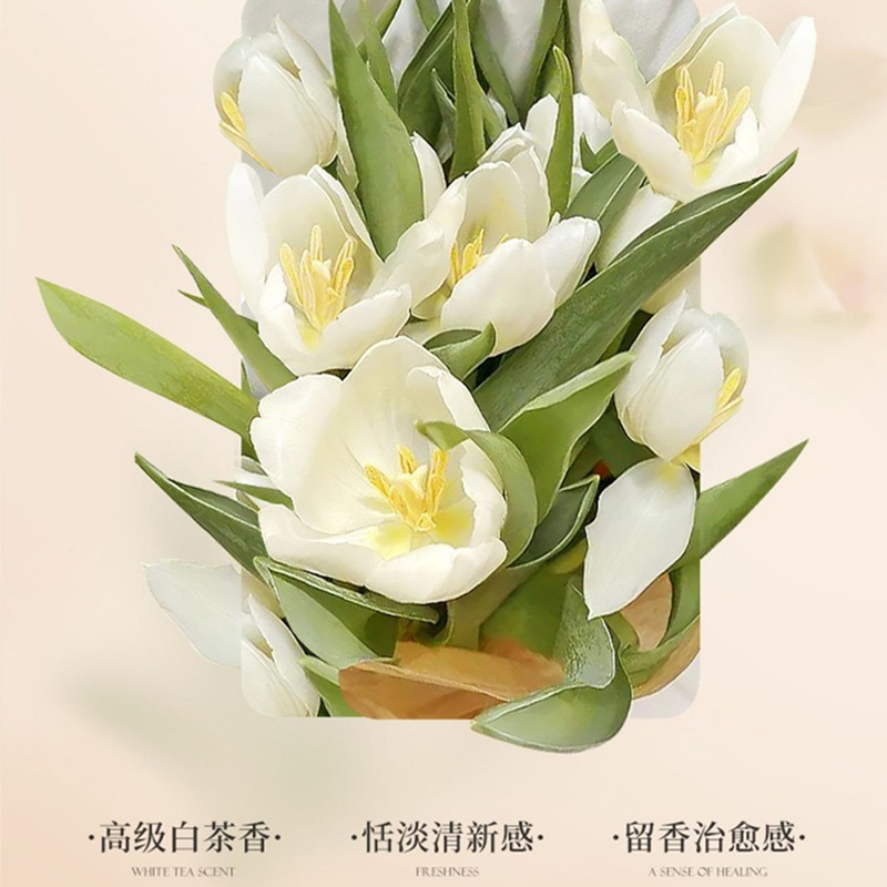 Camellia shower gel perfume fr - đánh giá và giá Perfume Fragrance Families